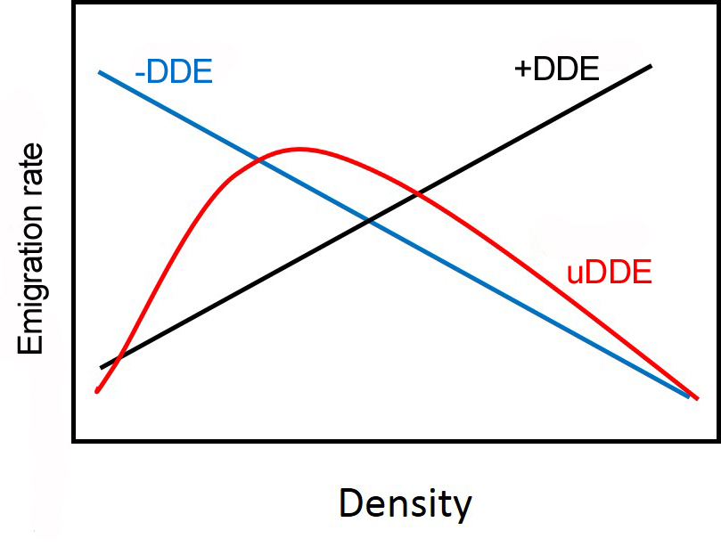 Graph of Hypothetical DDE